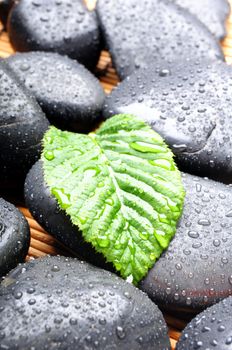 zen or spa stones with green leaf and water drops