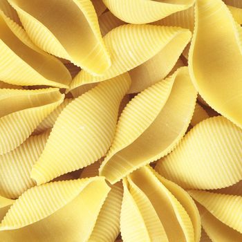 close up of a heap of conchiglioni pasta shells