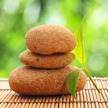 zen stones with green leaves and copyspace showing wellness