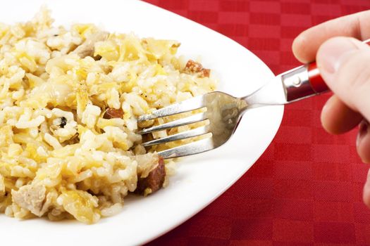 Traditional Serbian food (Podvarak) with cabbage, rice and meat.