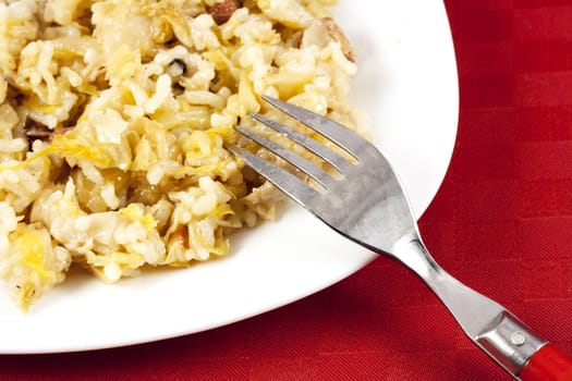 Traditional Serbian food (Podvarak) with cabbage, rice and meat.