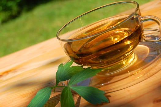 cup of tea in the garden showing concept of gardening