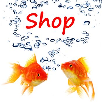 shopping or shop concept with word and goldfish