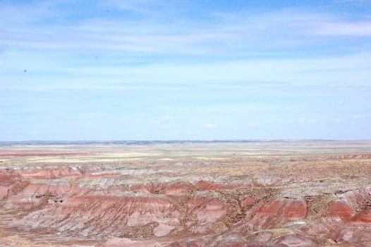 Petrified Forest Landscape