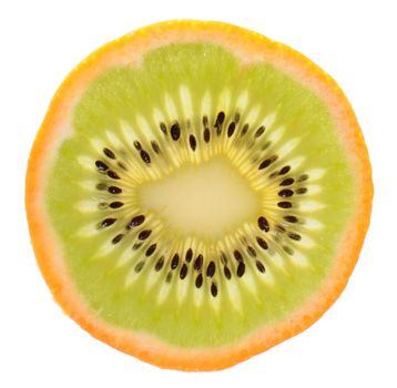 Genetic engineering - kiwi inside of an orange isolated on white background