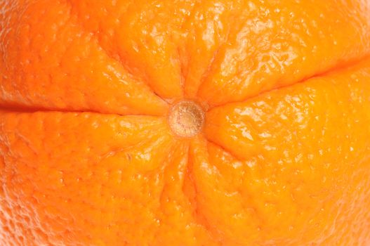 Macro close-up of the texture of an orange