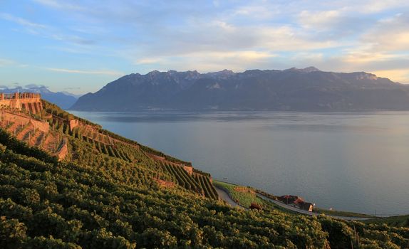 Famous and protected Lavaux vineyards near Montreux and mountains on Lake Geneva, Switzerland, by sunset