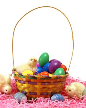 A few chicks with some easter eggs and a basket.
