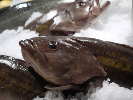 Fresh fish ready to be cooked