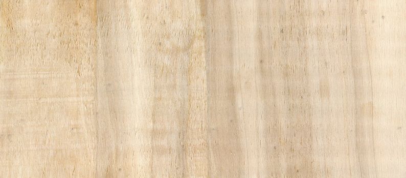 fine image of Natural Pine Wood Texture. close-up