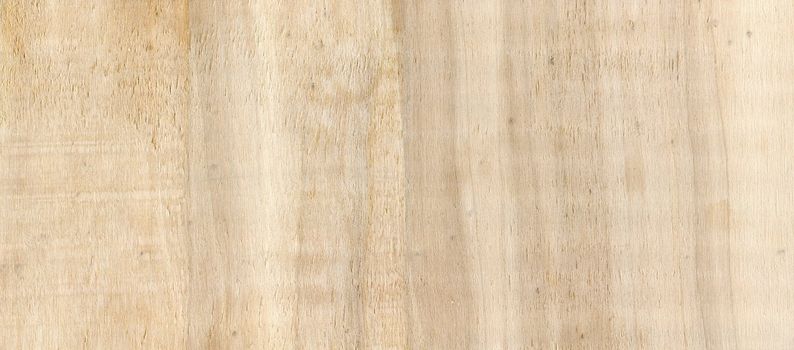 fine image of Natural Pine Wood Texture. close-up