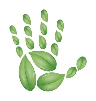 An image of a green hand of leafs