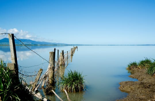 Calm Lake, rural edge, Lake Wairapapa, New Zealand.