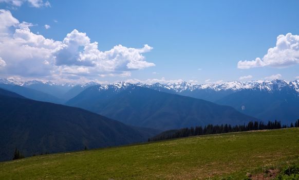 Mountain Landscape; Hurricane Ridge, Olympic National Park, Washington, USA