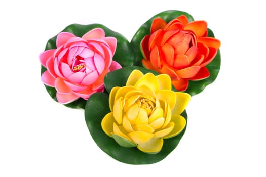 Close up view of three fake water lily flowers isolated on a white background.