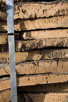 View of a pile of cork bark removed from the tree.