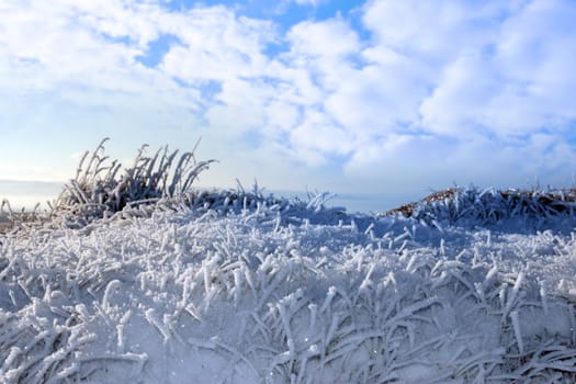 a seasonal snow frosty covered grass ditch with a blue cloudy sky background