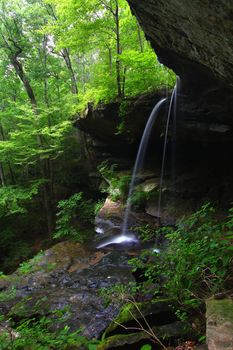 A waterfall of majestic height flows smoothly into a canyon of northern Alabama.