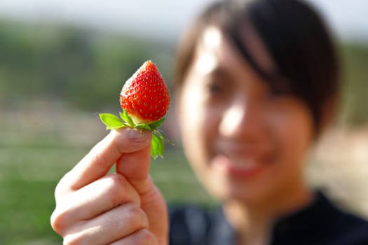 girl pick strawberry