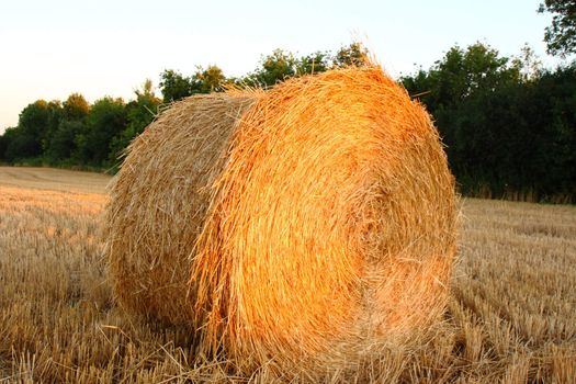 hay bale in setting sunlight