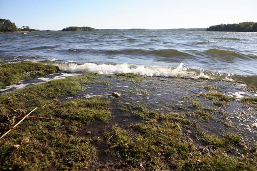 Windy sea with wet grass on foreground