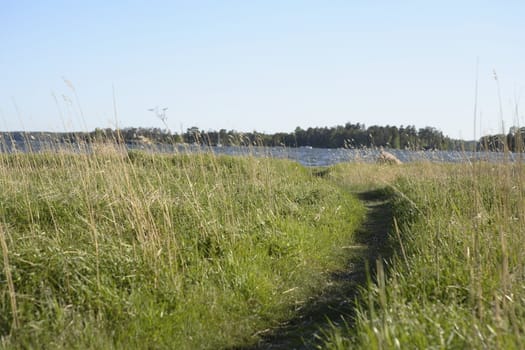 Walking path to the sea