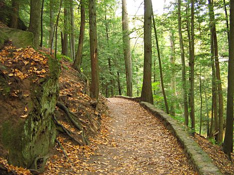 A photograph of Hocking Hills State Park located in the state of Ohio in the United States.