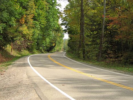 A photograph of a road in autumn.