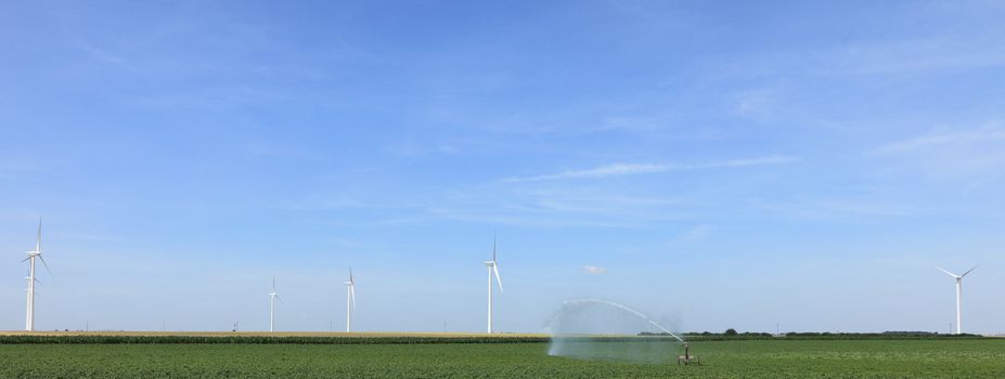 Image of wind turbines and water sprinkler in a green field.