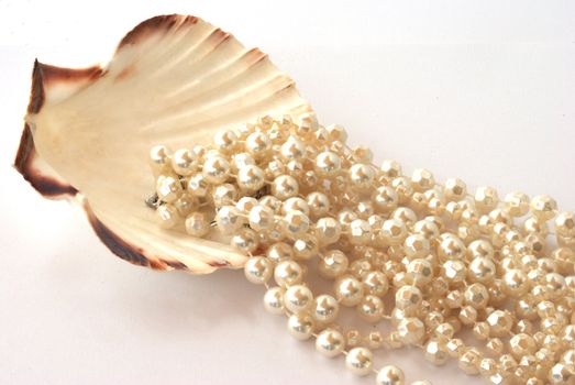 Pearls with sea shell