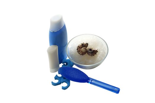 Blue foot SPA set with salt, cream and shells isolated on white background