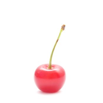A single ripe cherry with a stem isolated on white background