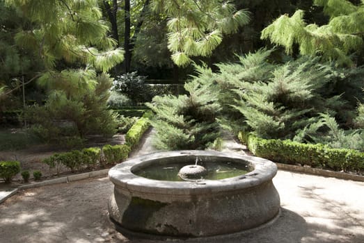 antique old fountain in the garden among the fir trees