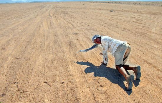 desperate thirsty tourist in Egyptian desert crawling over sand