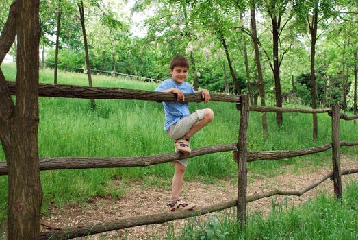 young smiling boy on fence outdoor over green natural countryside background