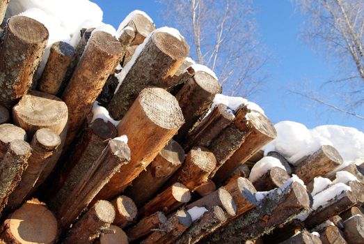 A pile of pine and spruce logs for wood fuel on a sunny day, with blue skies and frosted birch trees on the background. Photographed in Salo, Finland in January 2011.