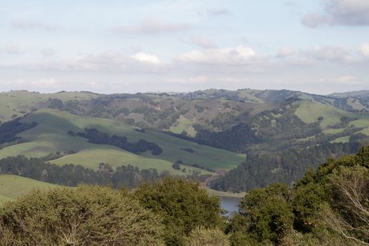 View of green hills partly covered with woods, trees on foreground