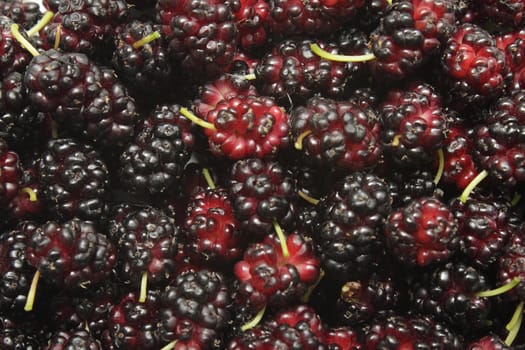Closeup photo of ripe mulberries