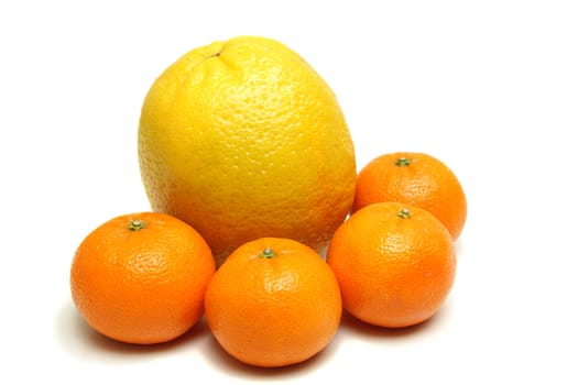 Venice orange and four mandarins isolated on white background