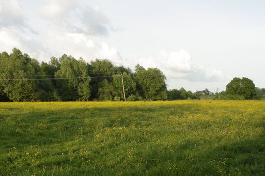 Rural landscape in the evening with grass field and sky with clouds