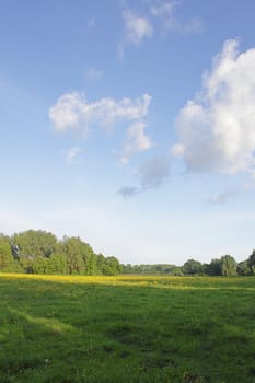 Rural landscape in the evening with grassfield and blue sky with clouds
