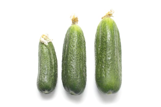 Three ripe cucumbers isolated on white background