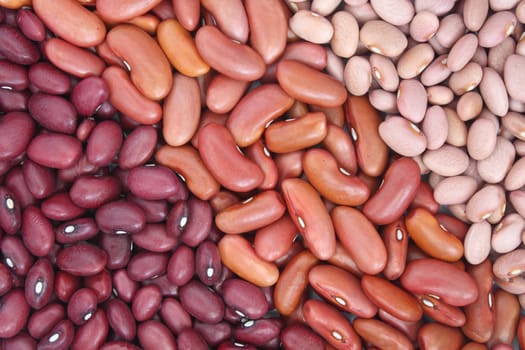 Three kinds of beans