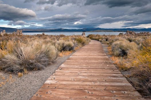 An autumn morning at Mono Lake