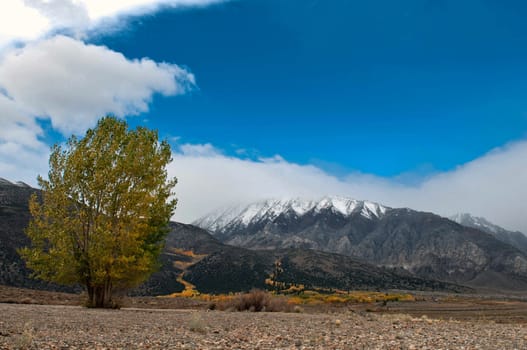 Mountain landscape in green wally with crystal river, in Sierra mountains.