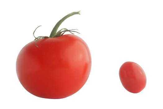 Two red ripe tomatoes big and small  isolated on white background