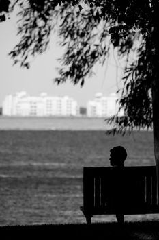 View of the silhouette of a man, bench and tree gazing the sea and the city.