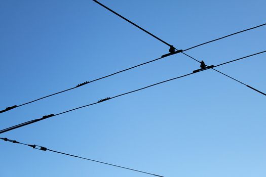 Black tram wires over blue sky