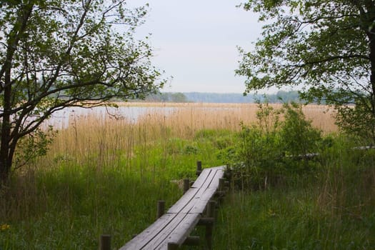 Wooden hiking path