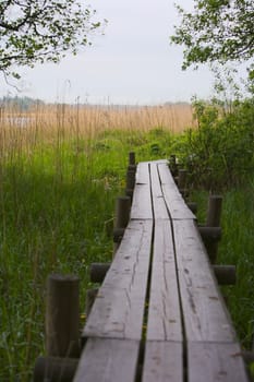Wooden hiking path